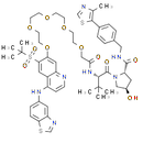 PROTAC RIPK degrader-2