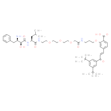 PROTAC RAR Degrader-1