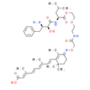 PROTAC CRABP-II Degrader-1