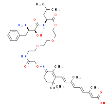 PROTAC CRABP-II Degrader-2