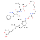 PROTAC CRABP-II Degrader-3