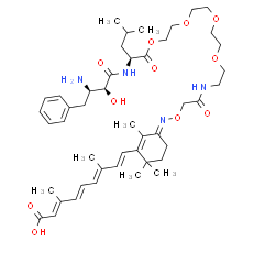 PROTAC CRABP-II Degrader-3