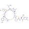 Oxytocin