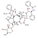 7-xylosyltaxol