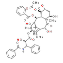 7-Epi 10-Desacetyl Paclitaxel
