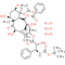 Docetaxel (Trihydrate)