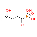 Succinyl phosphonate