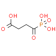 Succinyl phosphonate