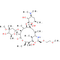 Dirithromycin