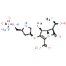 Doripenem