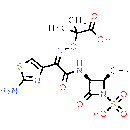 Aztreonam