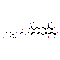 Tigecycline Hydrochloride