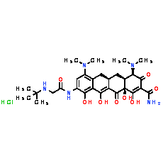 Tigecycline Hydrochloride