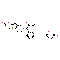 Prasugrel (Maleic acid)