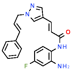 RGFP966(EE)
