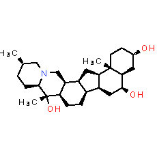 Peimine