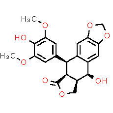4'-Demethylepipodophyllotoxin