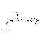 Retigabine dihydrochloride