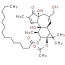 Phorbol 12-myristate 13-acetate