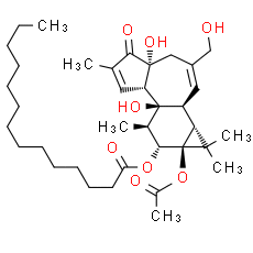 Phorbol 12-myristate 13-acetate