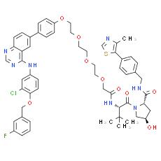 SJF 1521, EGFR Degrader