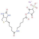 Sulfo-NHS-LC-Biotin