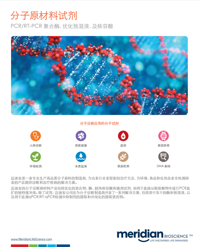 Bst DNA Polymerase – AllgenBio