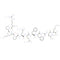 Substance P, a neurotransmitter and neuromodulator