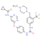 WS3, β Cell Proliferation Inducer