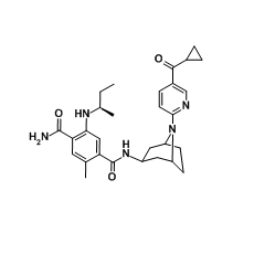 XL888, HSP90 Inhibitor
