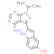 PP242, mTORC1/mTORC2 inhibitor