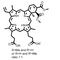 Verteporfin (Visudyne), YAP Inhibitor
